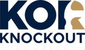 knockoutroofingfl.com